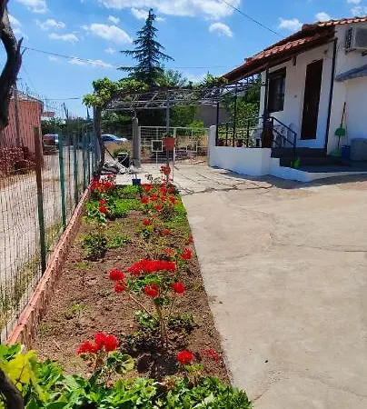 Stella House *